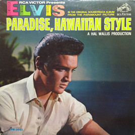 Paradise Hawaiian Style