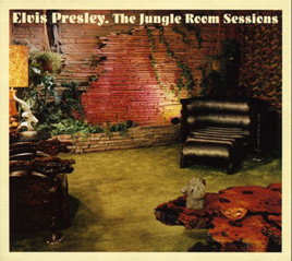 image cover FTD The Jungle Room Sessions