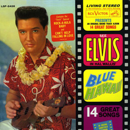 image cover FTD Blue Hawaii