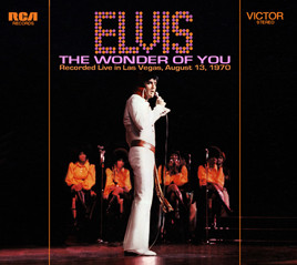 image cover FTD The Wonder Of You